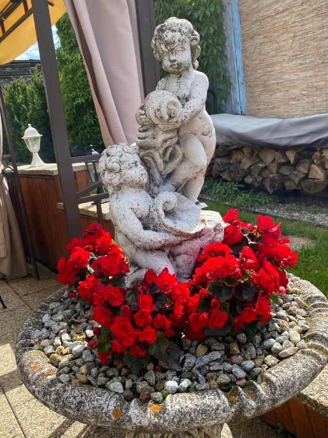 Penzión Vila Petra Bed&Breakfast Veľký Slavkov Esterno foto